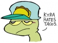 hat30_taco