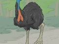 cassowary1_pltaco